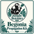 Begonia Propagation Starter Kit by JungleBotanics