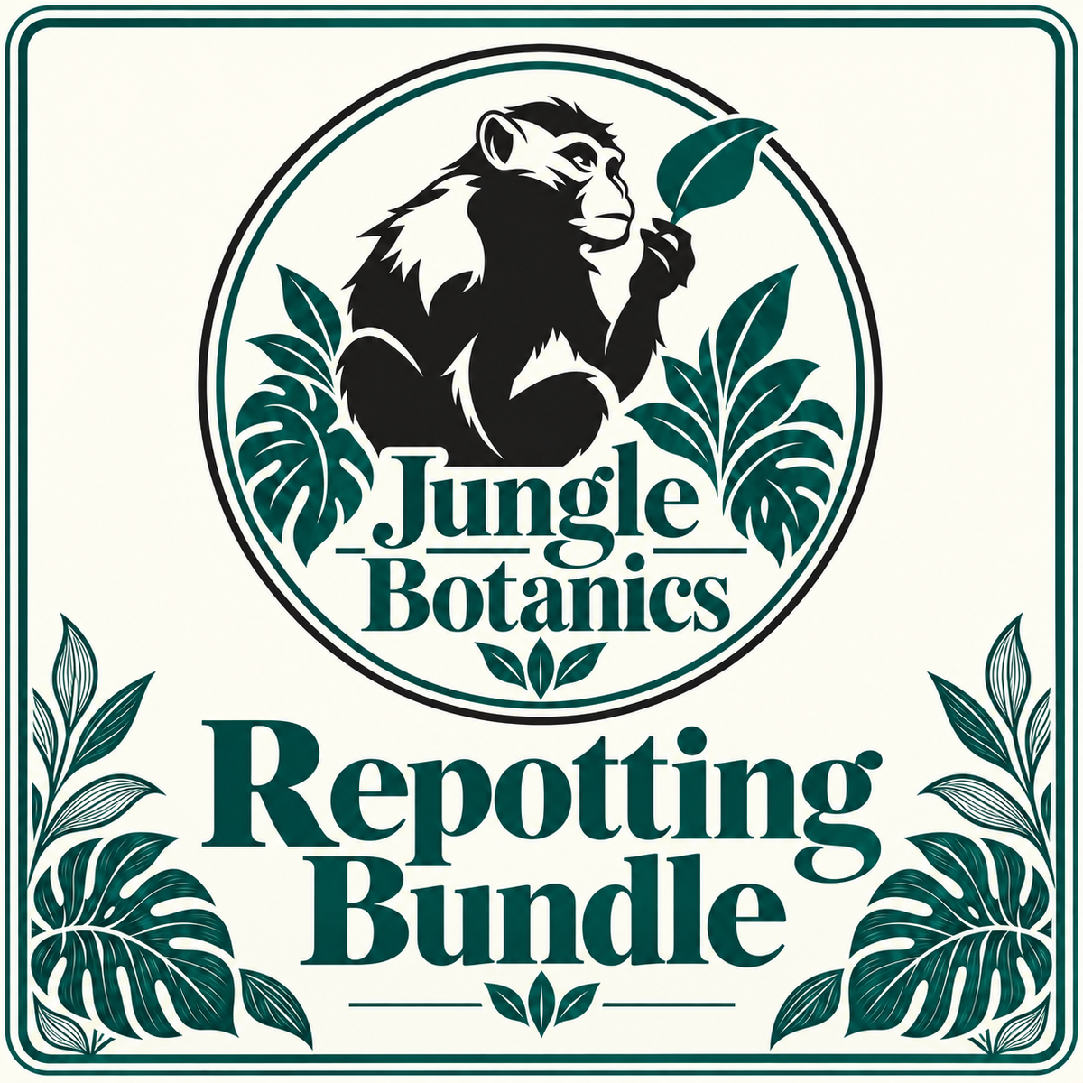 Houseplant Repotting Bundle 9cm by JungleBotanics