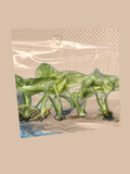 Monstera deliciosa ‘Legacy’ cultivar reference. Packaging and mature-plant images are illustrative; sold as 1 plant per bag.
