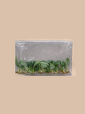 Philodendron gloriosum ‘Dark Form’ cultivar reference. Packaging and mature-plant images are illustrative; sold as 1 plant per bag.