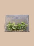 Rhaphidophora ‘Indo Var’ cultivar reference. Packaging and mature-plant images are illustrative; sold as 1 plant per bag.