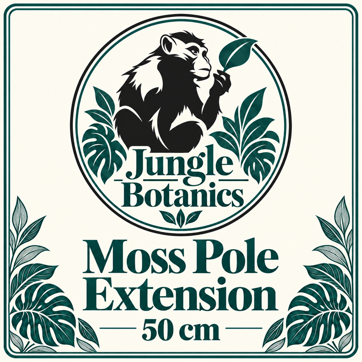 Modular Moss Pole Extension Pack 50cm by JungleBotanics