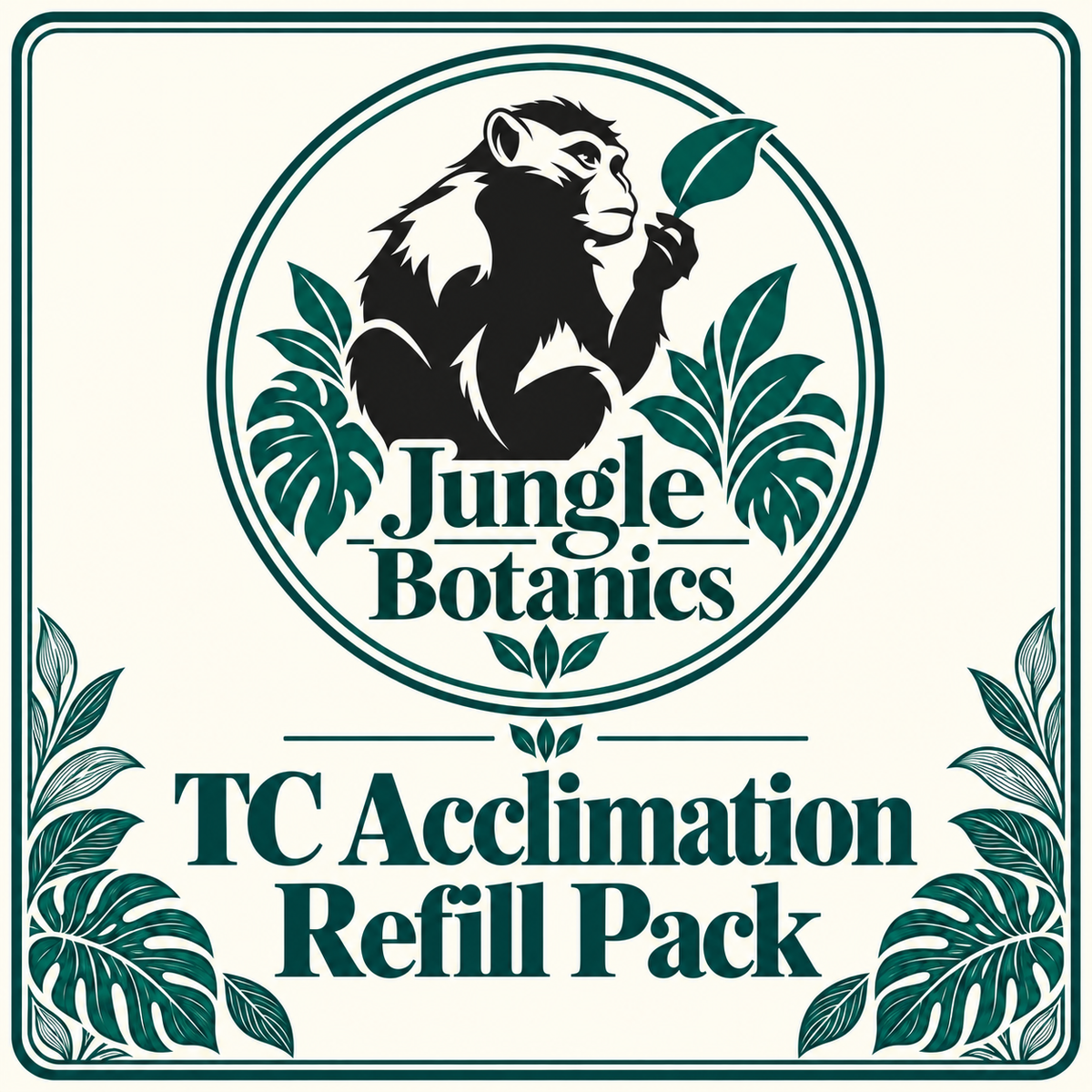 Tissue Culture Acclimation Refill Pack by JungleBotanics