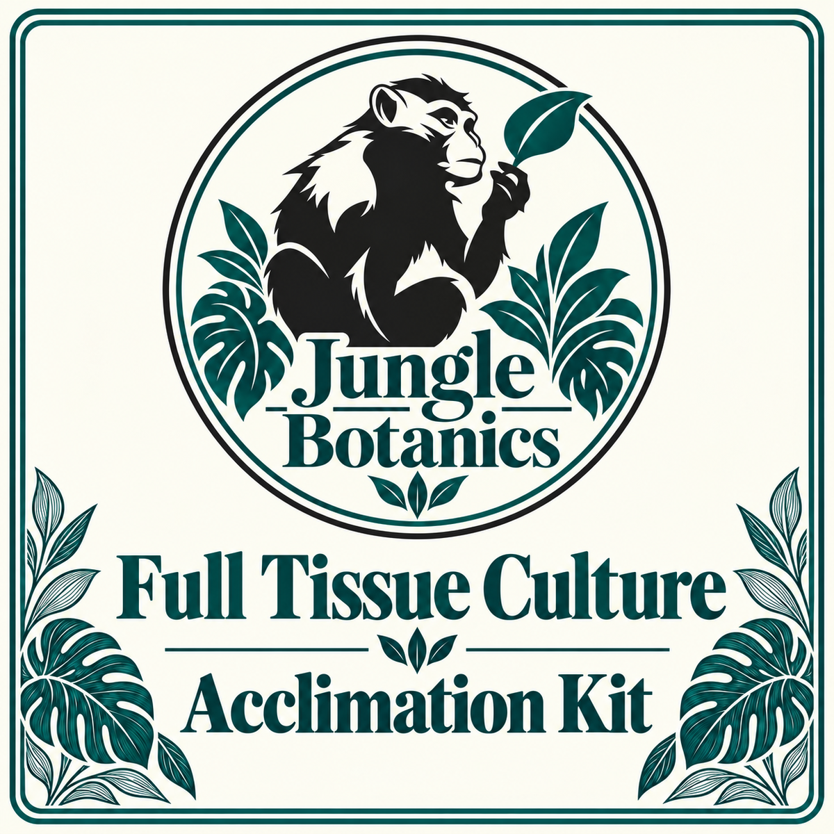 Tissue Culture Plantlet Acclimation Kit by JungleBotanics